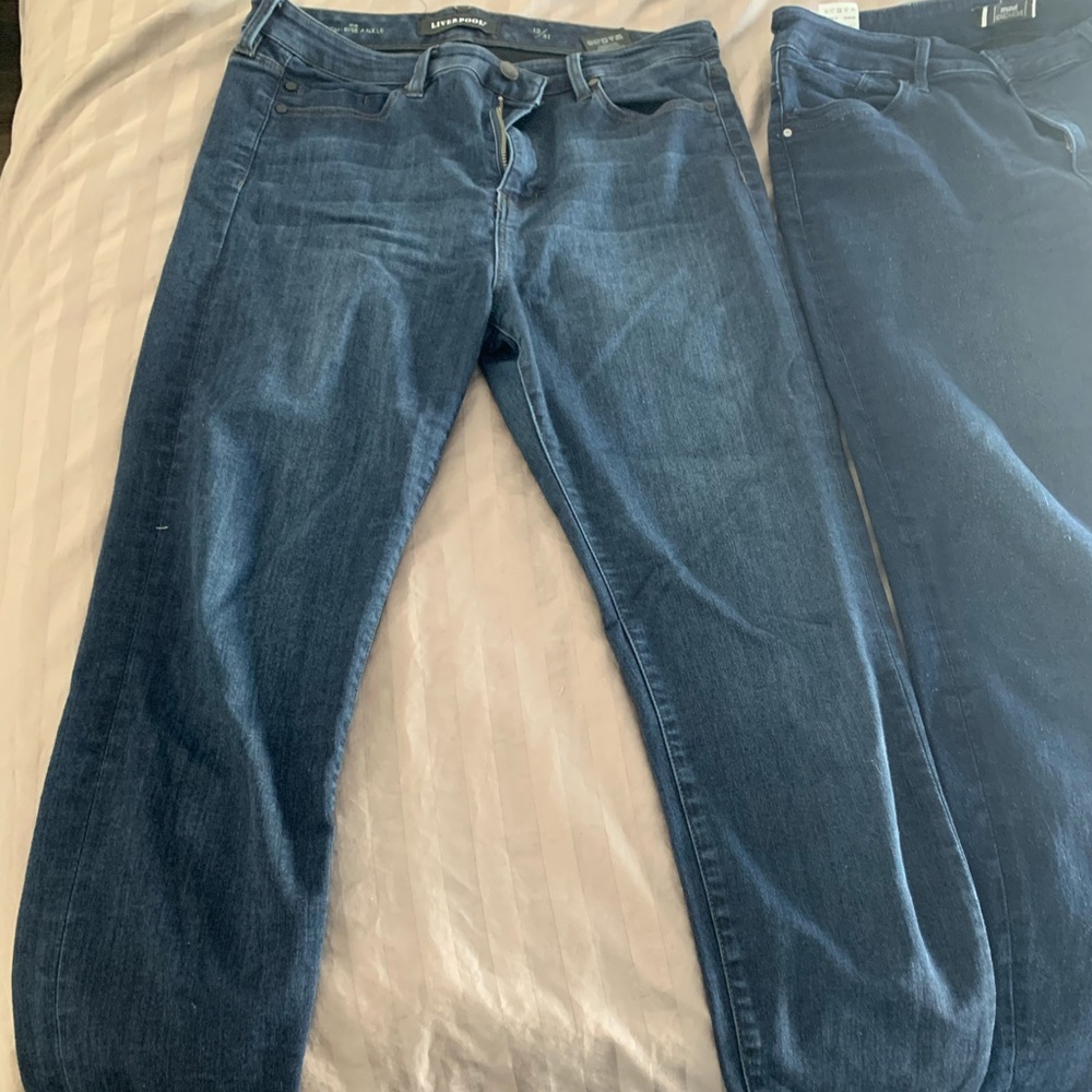 liverpool tinsley high rise skinny jean